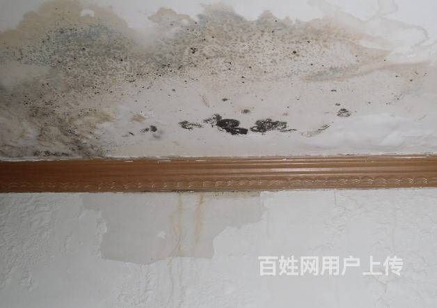 泉州防水漏水补漏_外墙渗水修补方案_外墙漏水渗水补漏方案